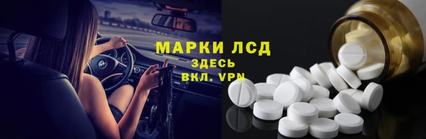 хмурый Абаза