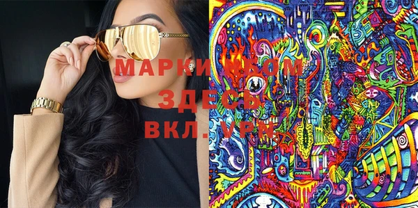 хмурый Абаза