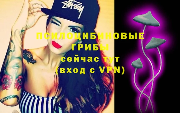 хмурый Абаза