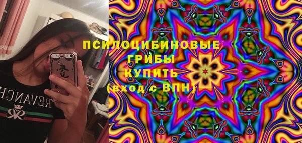 хмурый Абаза