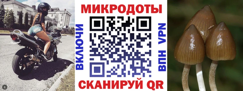 kraken онион  Правдинск  Псилоцибиновые грибы мицелий 